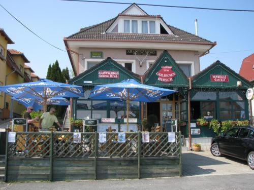Aranyszarvas-Goldener Hirsch Pension Zalakaros Habitación foto